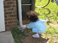 IMG_0272[1].jpg